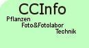 Zur CCInfo-Startseite